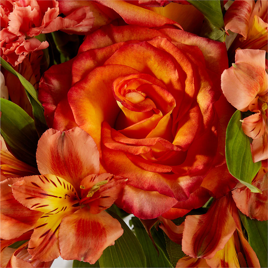 Apricot Glow Bouquet – ELLA'S ESSENCE LLC, Evanston IL