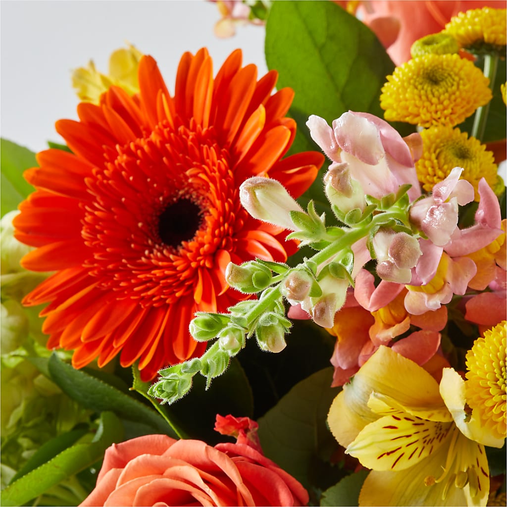 Autumn Sunshine Bouquet – ELLA'S ESSENCE LLC, Evanston IL