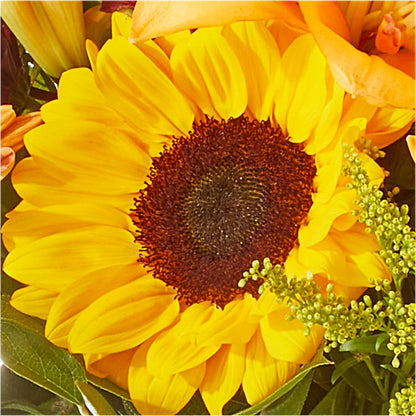 Seasons Change Bouquet – ELLA'S ESSENCE LLC, Evanston IL