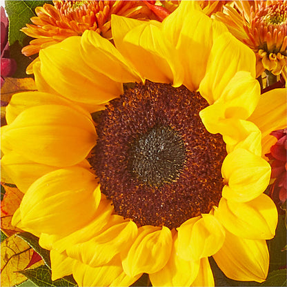 Sunny Side Bouquet – ELLA'S ESSENCE LLC, Evanston IL