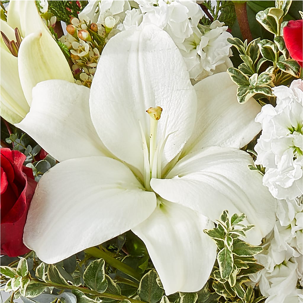 Twinkle Lights Bouquet – ELLA'S ESSENCE LLC, Evanston IL