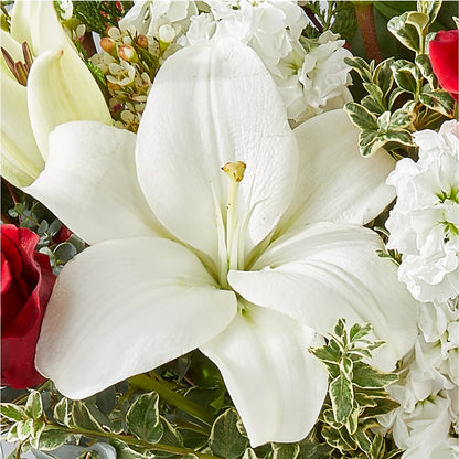 Twinkle Lights Bouquet – ELLA'S ESSENCE LLC, Evanston IL