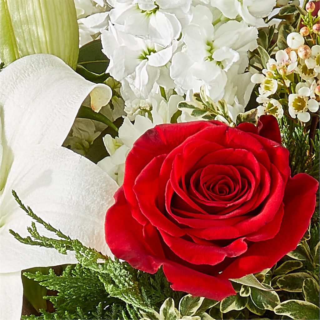 Twinkle Lights Bouquet – ELLA'S ESSENCE LLC, Evanston IL