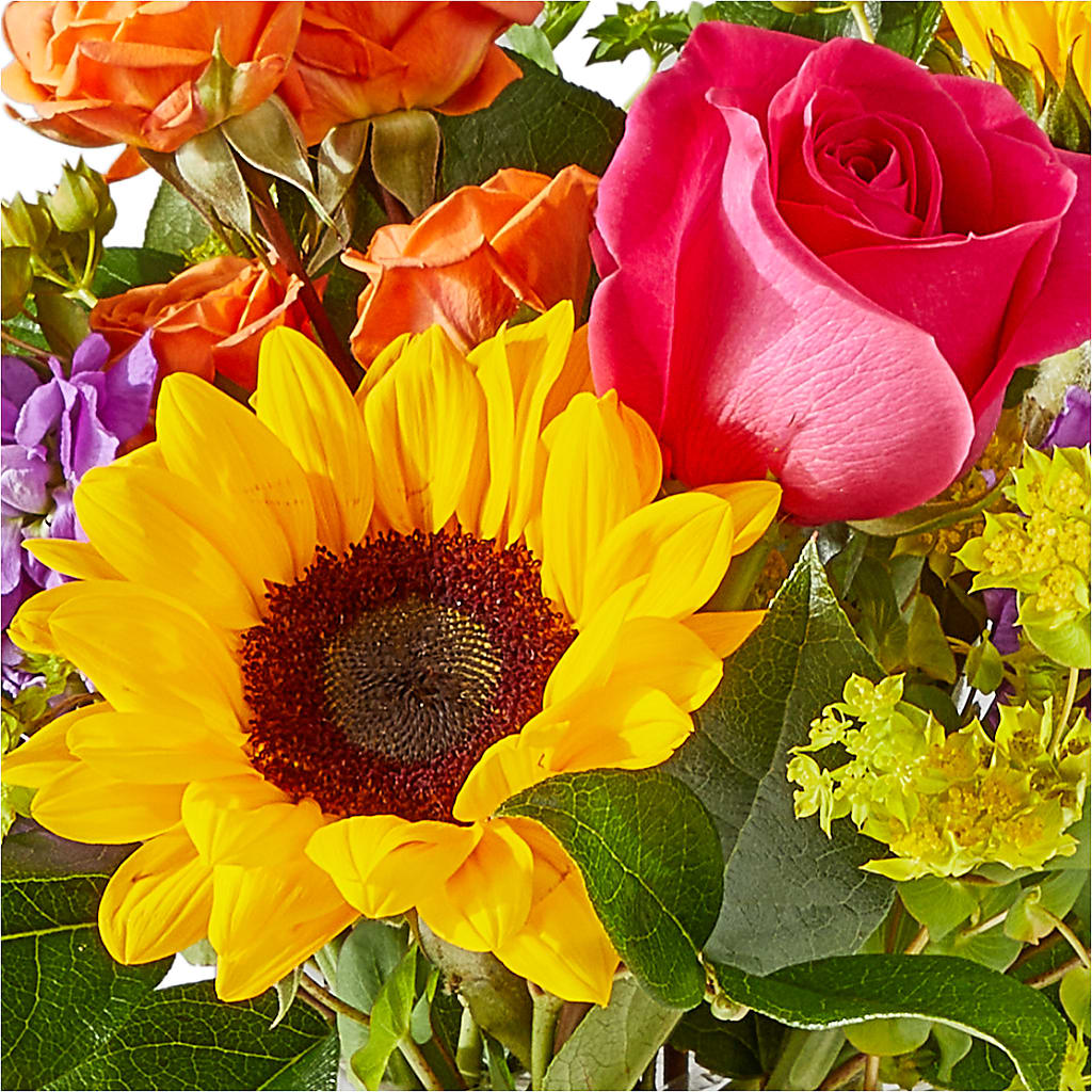 Vibrant Greetings Bouquet – ELLA'S ESSENCE LLC, Evanston IL