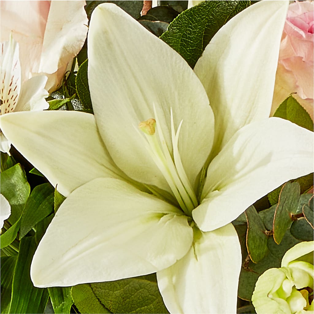 Ballet Slippers Bouquet – ELLA'S ESSENCE LLC, Evanston IL