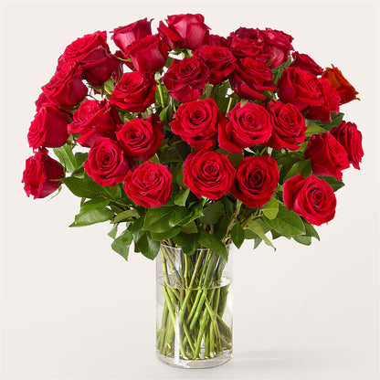 The One Red Rose Bouquet – ELLA'S ESSENCE LLC, Evanston IL