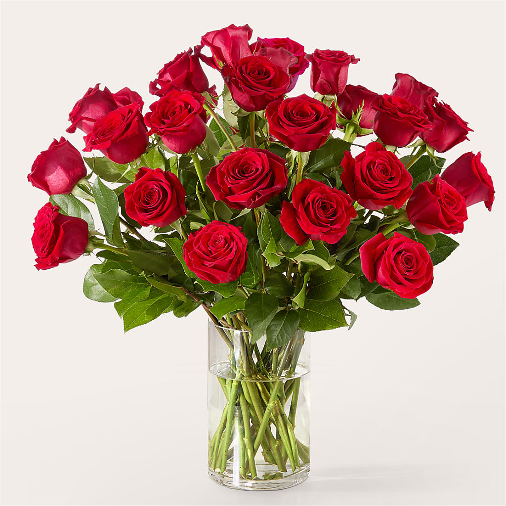 The One Red Rose Bouquet – ELLA'S ESSENCE LLC, Evanston IL