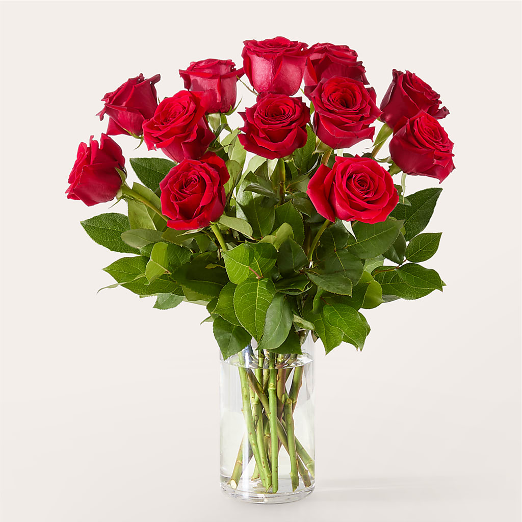 The One Red Rose Bouquet – ELLA'S ESSENCE LLC, Evanston IL
