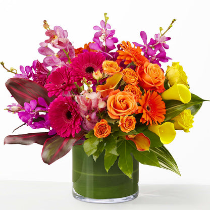 The Mosaic – ELLA'S ESSENCE LLC, Evanston IL