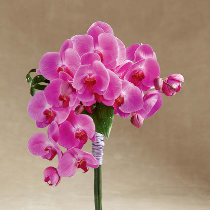 Glorious Bouquet – ELLA'S ESSENCE LLC, Evanston IL