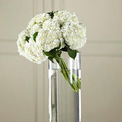 White Hydrangea Hand-Tied Bouquet – ELLA'S ESSENCE LLC, Evanston IL