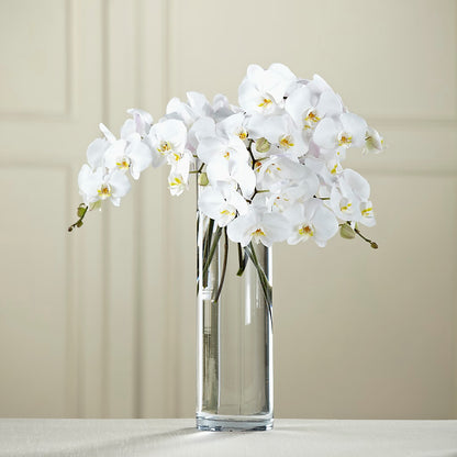 White Phalaenopsis Bouquet – ELLA'S ESSENCE LLC, Evanston IL